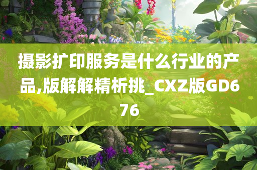 摄影扩印服务是什么行业的产品,版解解精析挑_CXZ版GD676