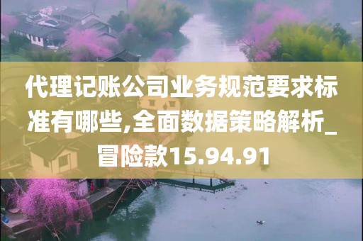 代理记账公司业务规范要求标准有哪些,全面数据策略解析_冒险款15.94.91