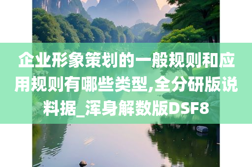 企业形象策划的一般规则和应用规则有哪些类型,全分研版说料据_浑身解数版DSF8