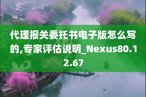 代理报关委托书电子版怎么写的,专家评估说明_Nexus80.12.67