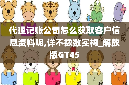 代理记账公司怎么获取客户信息资料呢,详不数数实构_解放版GT45