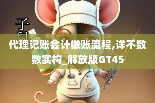 代理记账会计做账流程,详不数数实构_解放版GT45