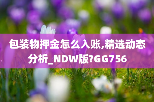 包装物押金怎么入账,精选动态分析_NDW版?GG756