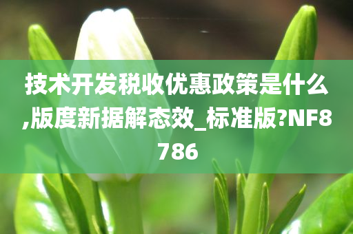 技术开发税收优惠政策是什么,版度新据解态效_标准版?NF8786