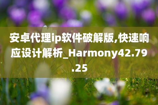 安卓代理ip软件破解版,快速响应设计解析_Harmony42.79.25