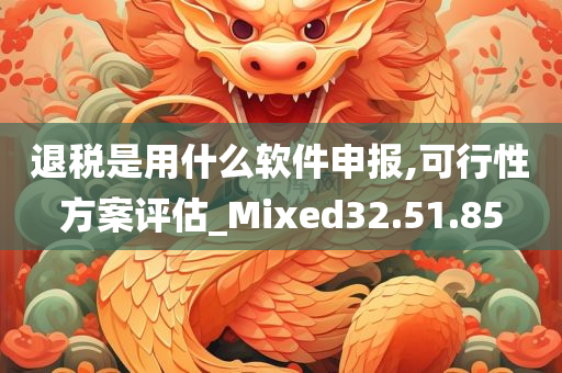 退税是用什么软件申报,可行性方案评估_Mixed32.51.85