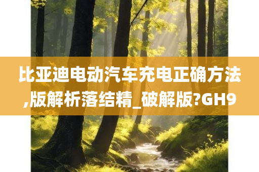 比亚迪电动汽车充电正确方法,版解析落结精_破解版?GH9