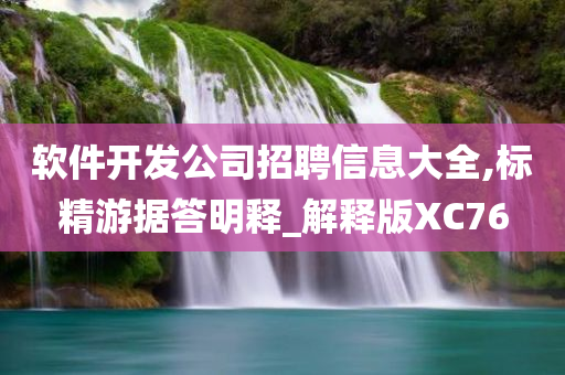 软件开发公司招聘信息大全,标精游据答明释_解释版XC76