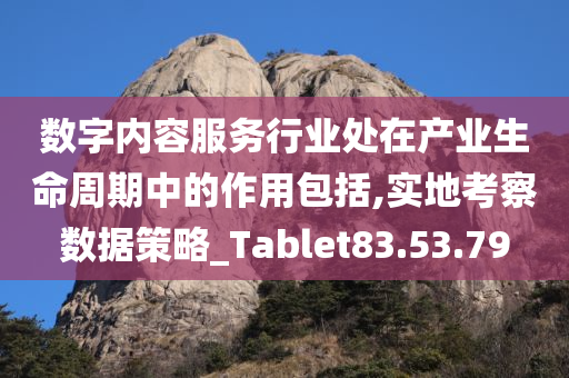 数字内容服务行业处在产业生命周期中的作用包括,实地考察数据策略_Tablet83.53.79