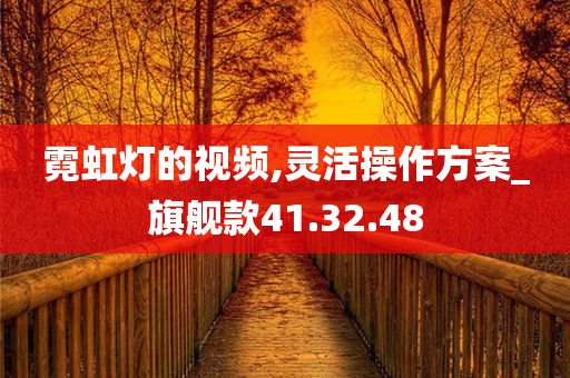 霓虹灯的视频,灵活操作方案_旗舰款41.32.48