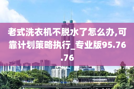 老式洗衣机不脱水了怎么办,可靠计划策略执行_专业版95.76.76