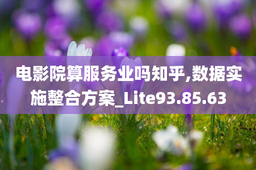 电影院算服务业吗知乎,数据实施整合方案_Lite93.85.63