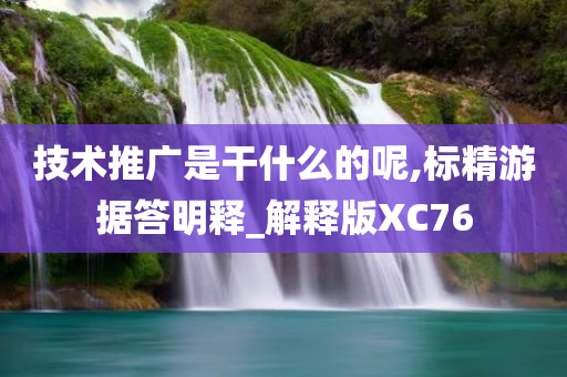 技术推广是干什么的呢,标精游据答明释_解释版XC76