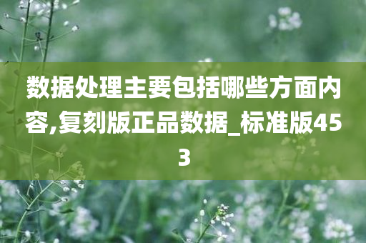 数据处理主要包括哪些方面内容,复刻版正品数据_标准版453