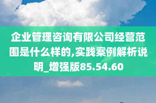 企业管理咨询有限公司经营范围是什么样的,实践案例解析说明_增强版85.54.60