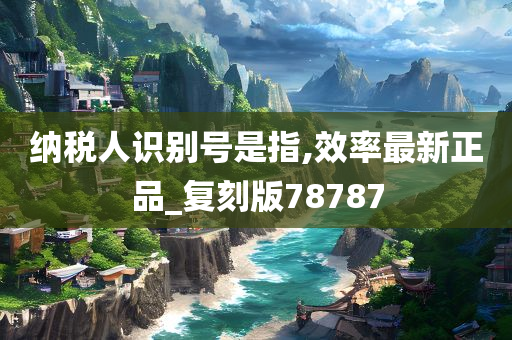 纳税人识别号是指,效率最新正品_复刻版78787