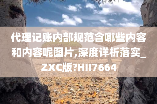 代理记账内部规范含哪些内容和内容呢图片,深度详析落实_ZXC版?HII7664