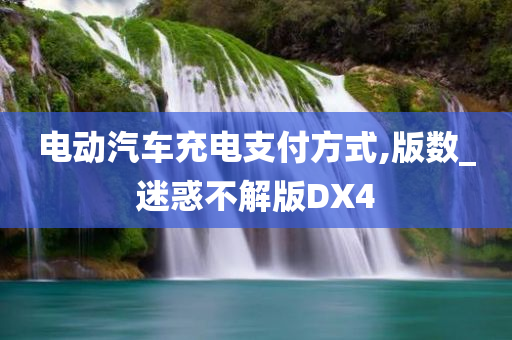 电动汽车充电支付方式,版数_迷惑不解版DX4