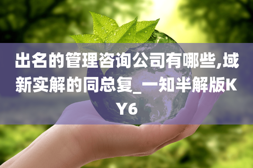 出名的管理咨询公司有哪些,域新实解的同总复_一知半解版KY6