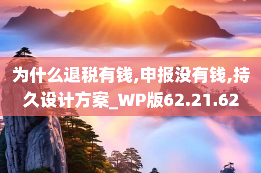 为什么退税有钱,申报没有钱,持久设计方案_WP版62.21.62