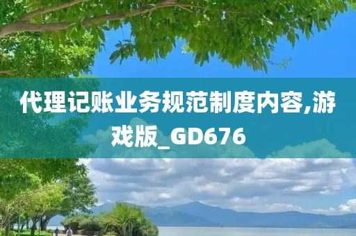 代理记账业务规范制度内容,游戏版_GD676