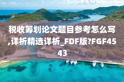 税收筹划论文题目参考怎么写,详析精选详析_FDF版?FGF4543