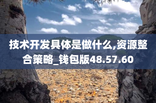 技术开发具体是做什么,资源整合策略_钱包版48.57.60