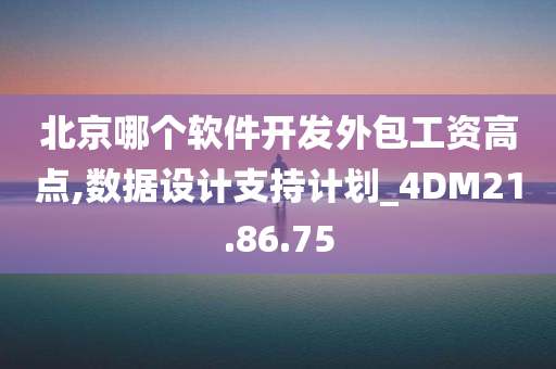 北京哪个软件开发外包工资高点,数据设计支持计划_4DM21.86.75