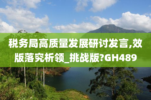 税务局高质量发展研讨发言,效版落究析领_挑战版?GH489