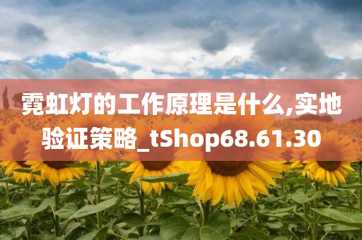 霓虹灯的工作原理是什么,实地验证策略_tShop68.61.30