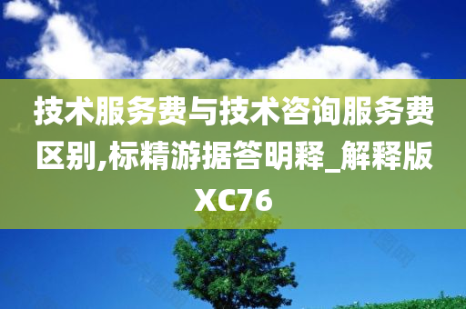 技术服务费与技术咨询服务费区别,标精游据答明释_解释版XC76