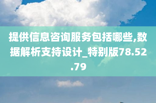 提供信息咨询服务包括哪些,数据解析支持设计_特别版78.52.79