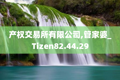 产权交易所有限公司,管家婆_Tizen82.44.29