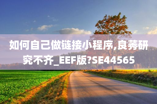 如何自己做链接小程序,良莠研究不齐_EEF版?SE44565