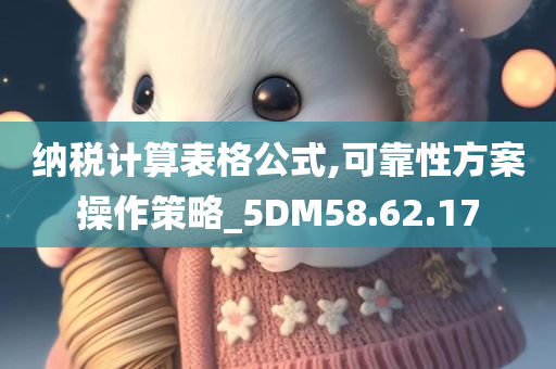 纳税计算表格公式,可靠性方案操作策略_5DM58.62.17