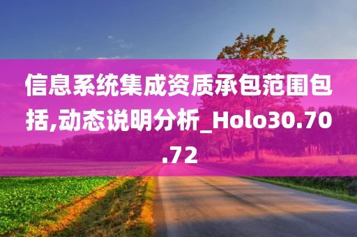 信息系统集成资质承包范围包括,动态说明分析_Holo30.70.72