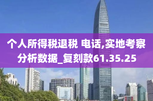 个人所得税退税 电话,实地考察分析数据_复刻款61.35.25