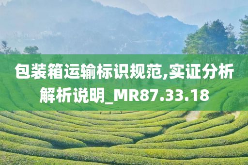 包装箱运输标识规范,实证分析解析说明_MR87.33.18