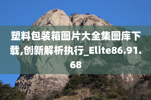 塑料包装箱图片大全集图库下载,创新解析执行_Elite86.91.68