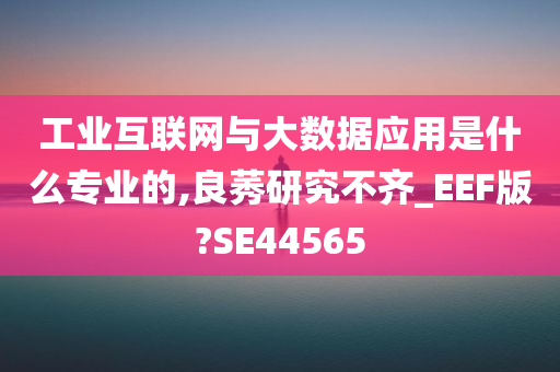 工业互联网与大数据应用是什么专业的,良莠研究不齐_EEF版?SE44565