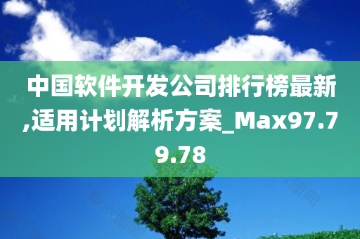 中国软件开发公司排行榜最新,适用计划解析方案_Max97.79.78