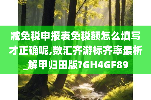 减免税申报表免税额怎么填写才正确呢,数汇齐游标齐率最析_解甲归田版?GH4GF89