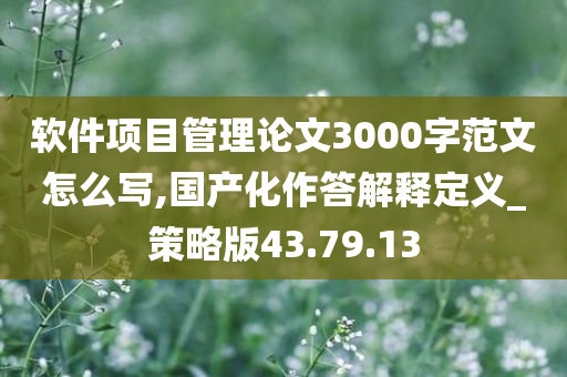 软件项目管理论文3000字范文怎么写,国产化作答解释定义_策略版43.79.13