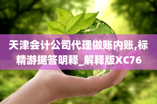 天津会计公司代理做账内账,标精游据答明释_解释版XC76