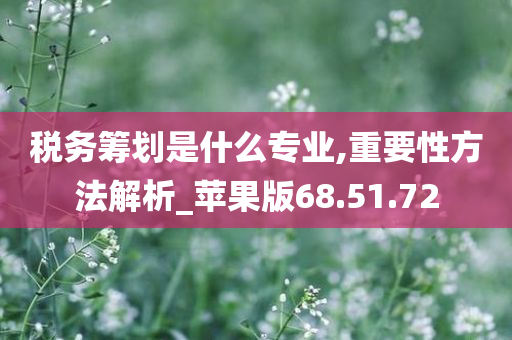 税务筹划是什么专业,重要性方法解析_苹果版68.51.72