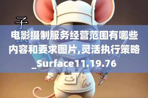 电影摄制服务经营范围有哪些内容和要求图片,灵活执行策略_Surface11.19.76