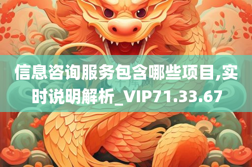 信息咨询服务包含哪些项目,实时说明解析_VIP71.33.67