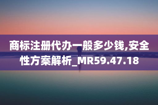 商标注册代办一般多少钱,安全性方案解析_MR59.47.18