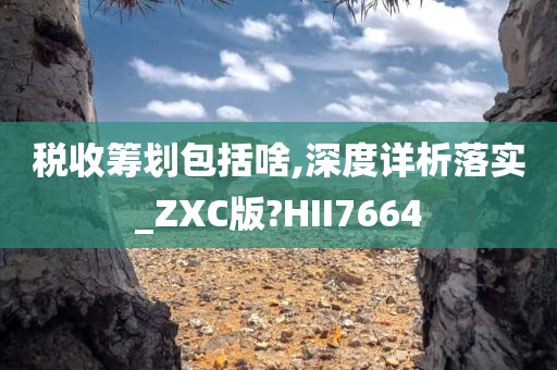 税收筹划包括啥,深度详析落实_ZXC版?HII7664