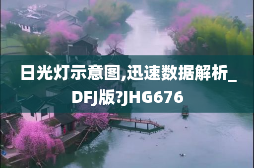 日光灯示意图,迅速数据解析_DFJ版?JHG676